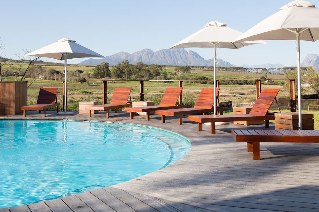 An Eco-pool with a View