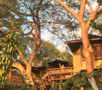 Treehouse Ohana