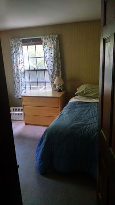 Downstairs bedroom