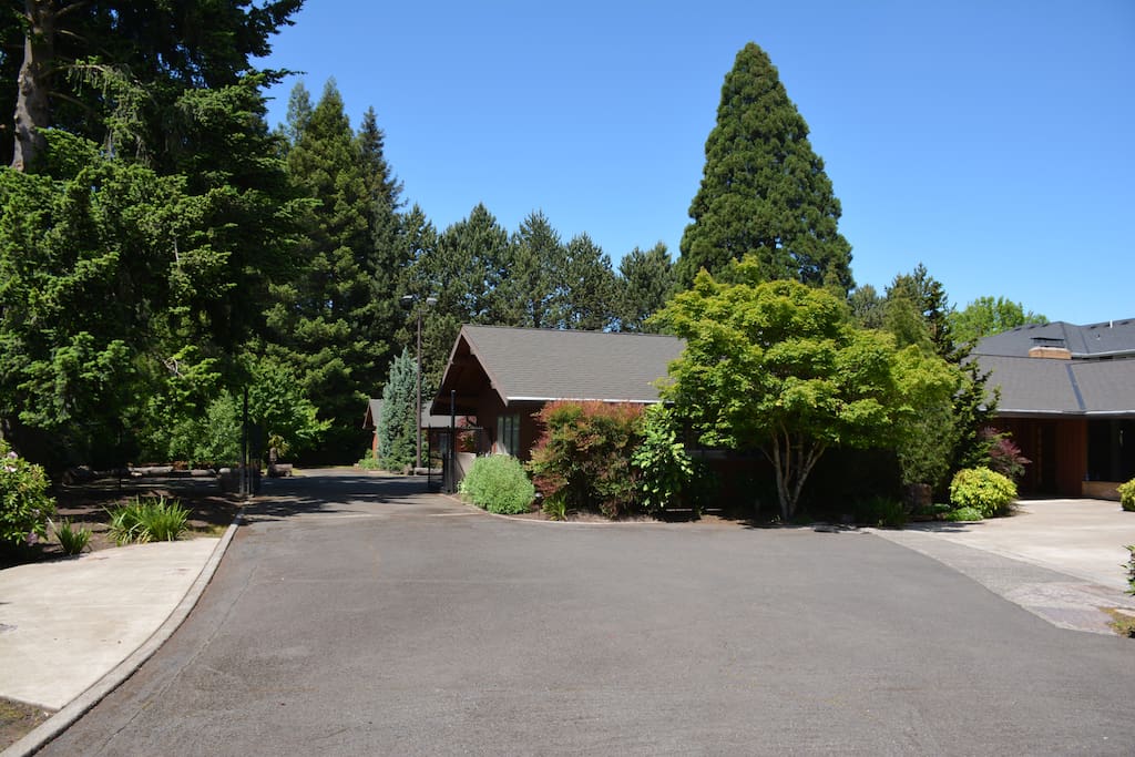 Driveway to the back of the property and the guesthouse