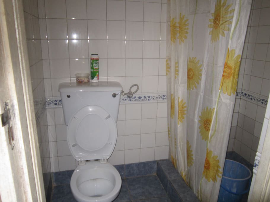 Toilet and shower room