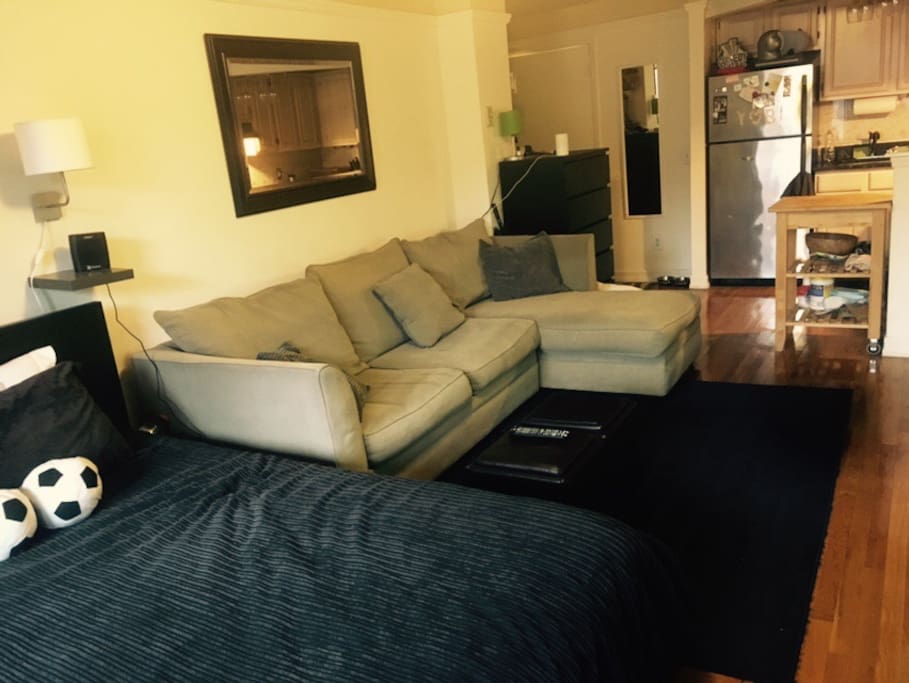 Fold out sofa (queen size fold out - sleeps 2)