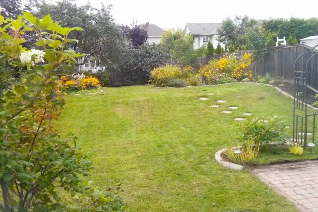 backyard in Spring