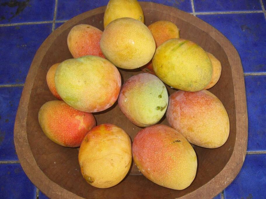 Ask us about the fruits and food available, it will be your best culinary decision in a long time :)