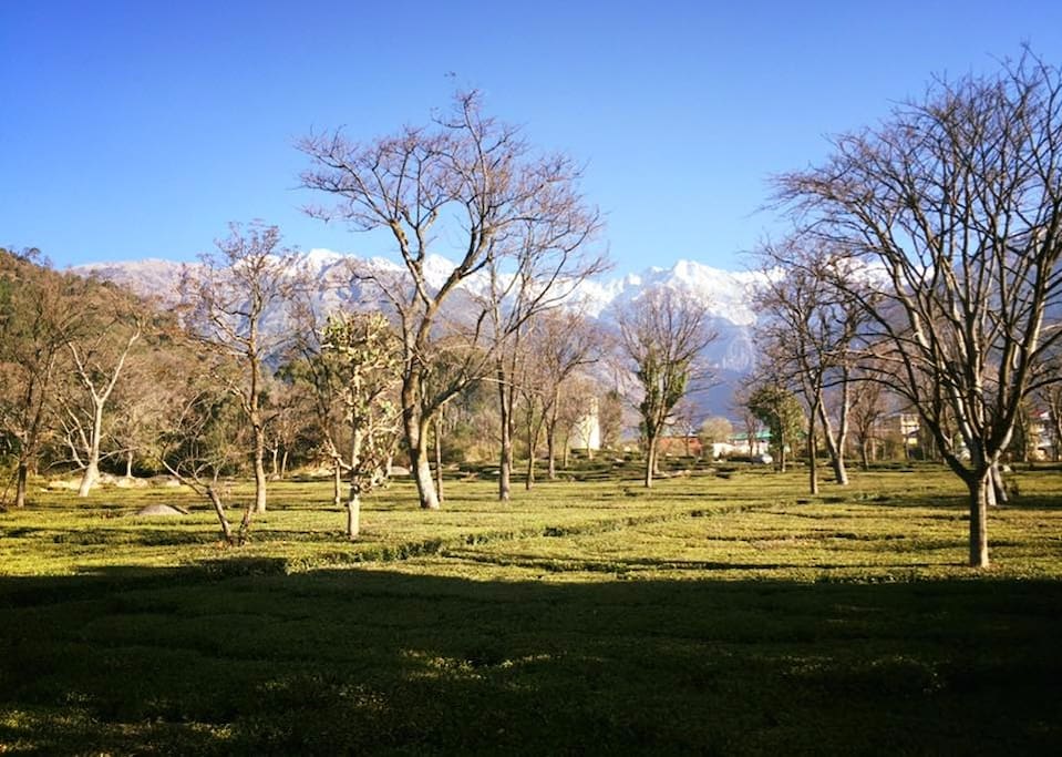 View from balcony (Feb 2017)