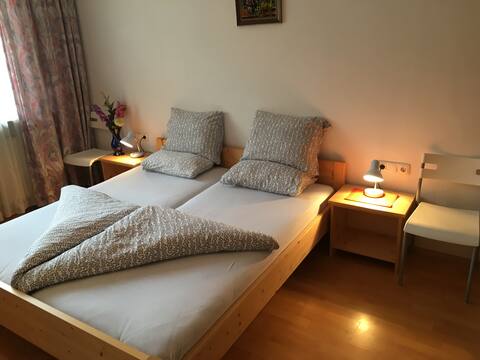 Double Room Apartment in Tirol  With Balcony Nr 1