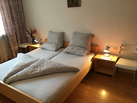 Double Room Apartment in Tirol With Balcony Nr 1