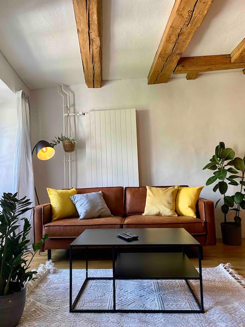Charming old town apartment 3rd floor
