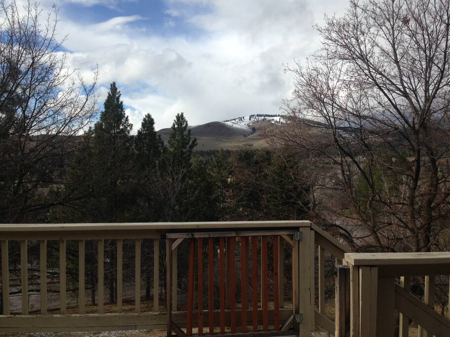 Early spring light from the upper deck.