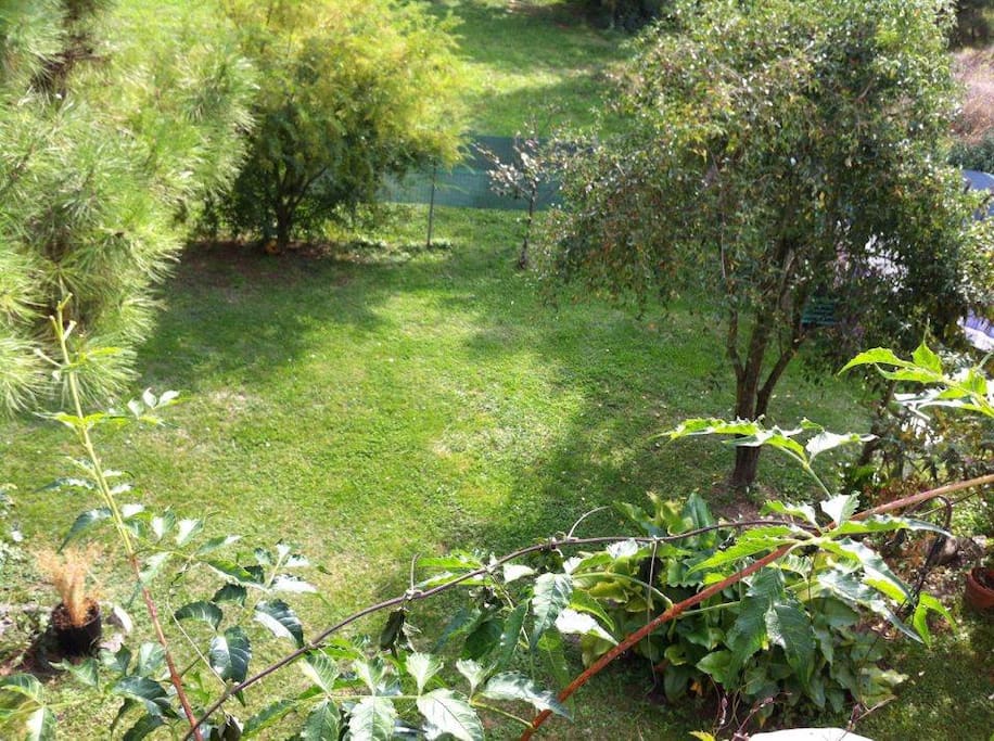 Giardino