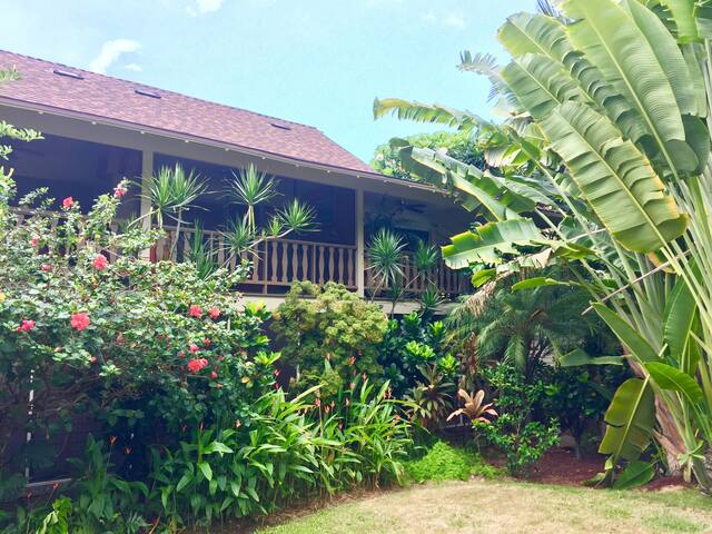 kailua kona single parent personals Royal kona resort, kailua-kona - reserva amb el millor preu garantit a bookingcom t'esperen 1309 comentaris i 25 fotos. kailua kona single parent personals Royal kona resort, kailua-kona - reserva amb el millor preu garantit a bookingcom t'esperen 1309 comentaris i 25 fotos.