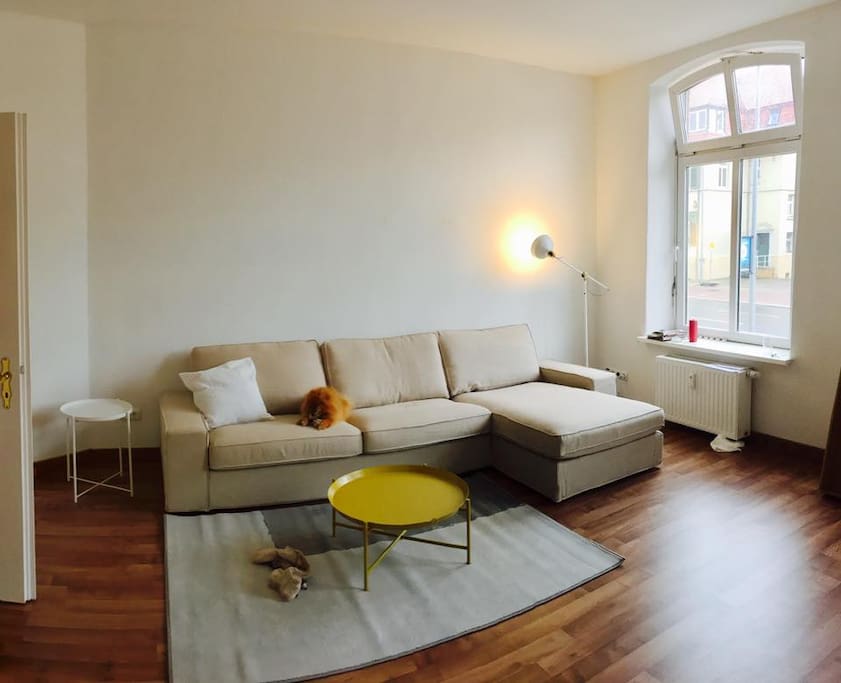 Comfy living room