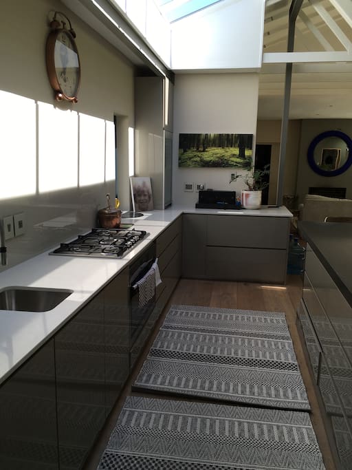 Modern Kitchen