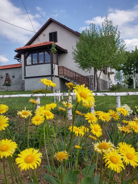 Apartman Rasce