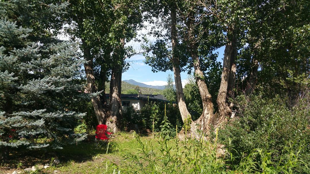 The image features a lush garden area surrounded by tall trees and shrubs. Two large trees dominate the foreground, with their textured trunks visible. A vibrant red chair is positioned amidst greenery, and distant mountains can be seen in the background under a clear blue sky.
