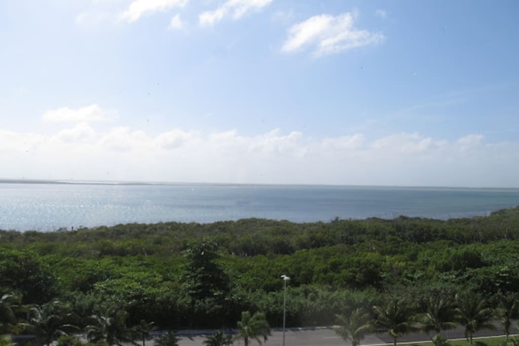 THIS IS THE ACTUAL VIEW FROM THE UNIT (LAGOON)