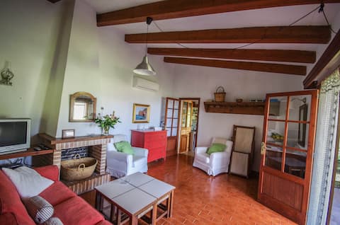 Successful Airbnb property: Sa Muntanya "The Mountain" in Sóller