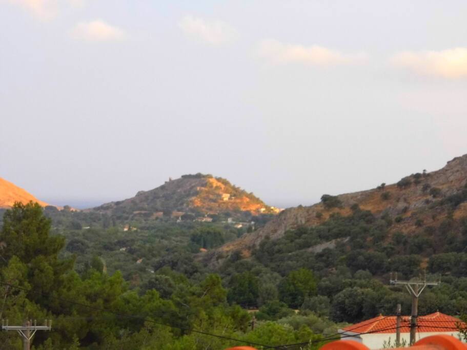 from one of the bedroom window
