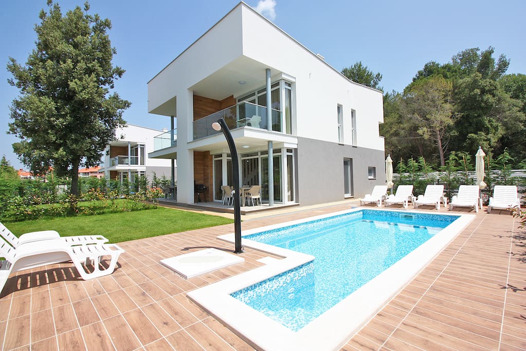 The house with pool