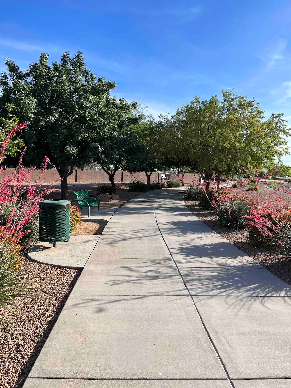 A concrete path winds through a park, lined with lush trees and blooming shrubs. Green benches are positioned along the walkway, while a decorative trash bin is situated nearby. The scene is illuminated by bright sunlight under a clear blue sky.