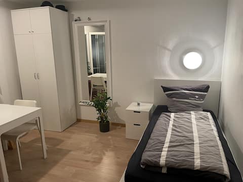 Nice and bright studio in the city center (FF)
