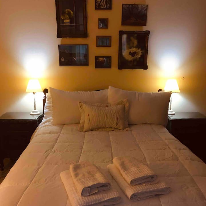 Chumba cha kulala 1 (kitanda cha ukubwa wa malkia) 