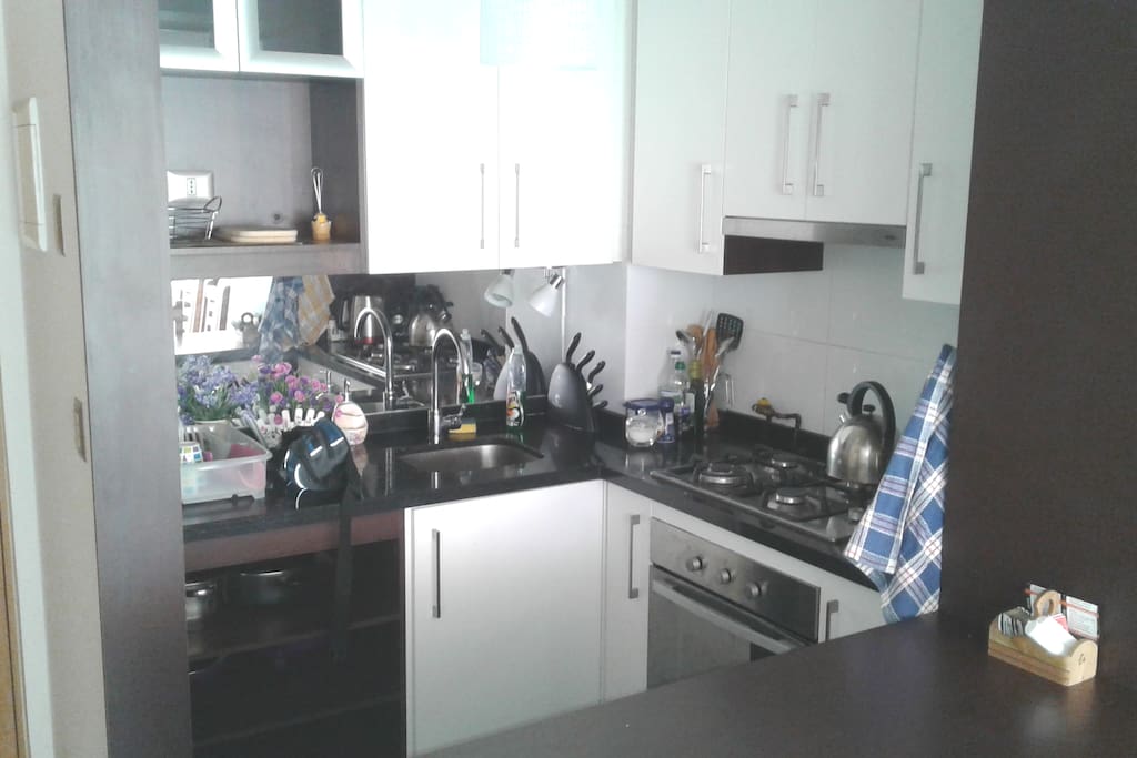 Cocina americana equipada con microondas, horno eléctrico y refrigerador.