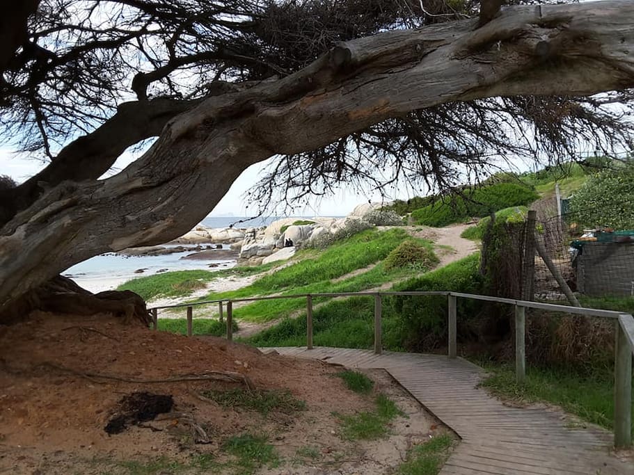 Walkway to Windmill Beach. Two minutes stroll from Porcupine Walk