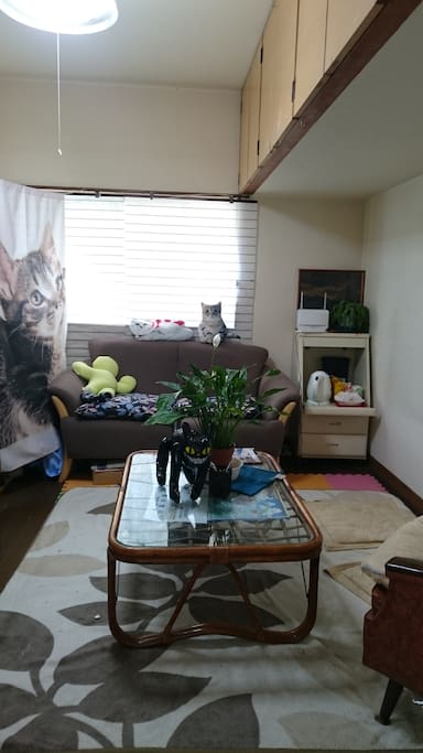 living-room