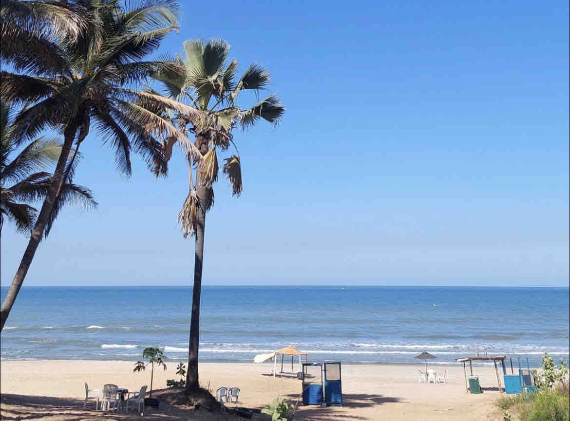 A sandy beach is bordered by tall palm trees, with gentle waves lapping at the shore. A few shaded seating areas are visible in the distance, alongside umbrellas providing sun protection. The clear blue sky enhances the serene coastal view.