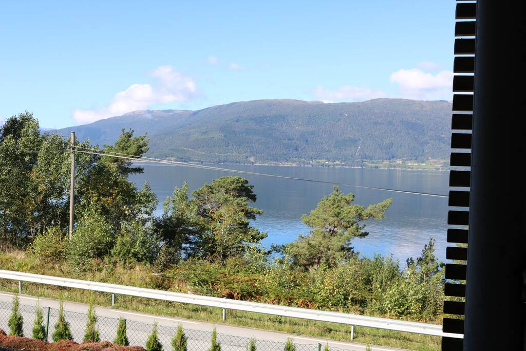 View from my house