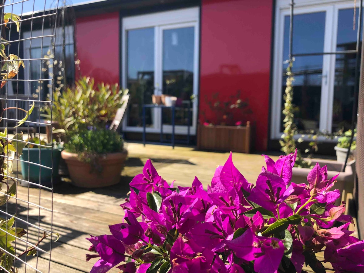A vibrant cluster of purple bougainvillea flowers is prominently displayed in the foreground. In the background, large glass doors open to a terrace, with red walls and various plants situated around the outdoor space.
