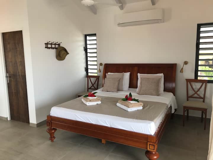 זה הסטודיו בחדר המגדל עם מיטת מהגוני גדולה וחדר אמבטיה פרטי ומטבחון. כניסה פרטית.