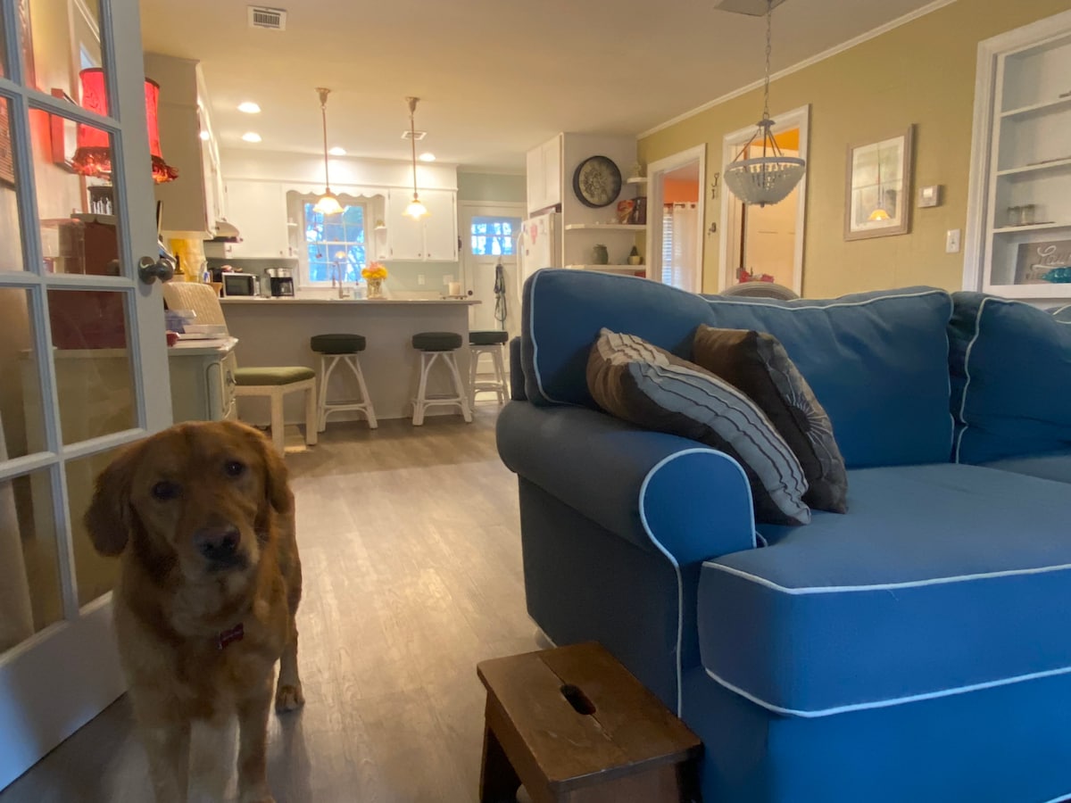 A cozy living area features a blue sofa adorned with decorative pillows. A wooden stool sits nearby, while an open kitchen is visible in the background. A dog stands at the forefront, partly obscured by a brown covering.