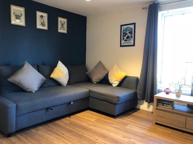 City Centre Apartment - Close to Castle & Stadium