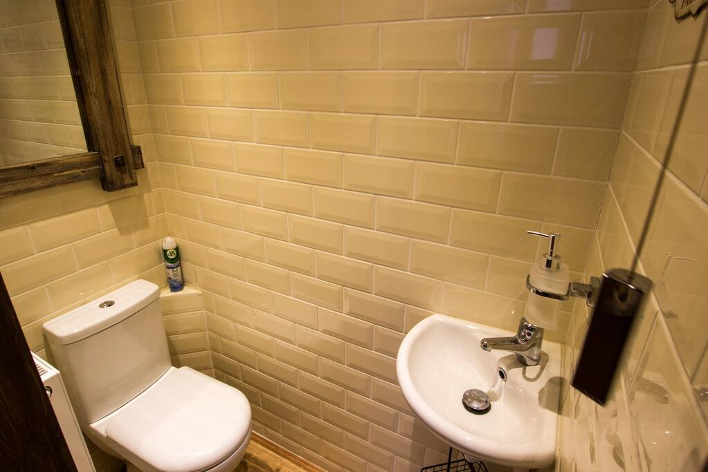 This is the toilet just outside the room