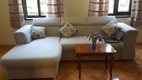 APARTMENT IN PIATA MUZEULUI No.5 Ap.5 (OLD TOWN )