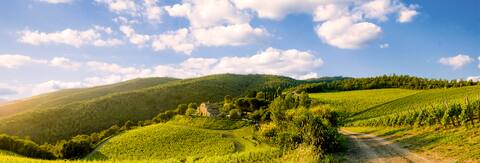 A Unique Farmhouse at the Chianti Classico Estate