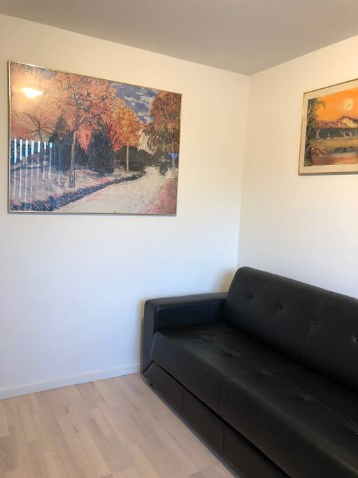 Værelse 2 Sovesofa