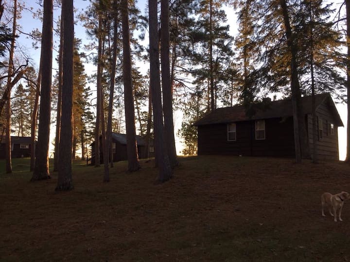 Tam O'Shanter cabin 3 Guesthouses for Rent in Spring Lake, Minnesota