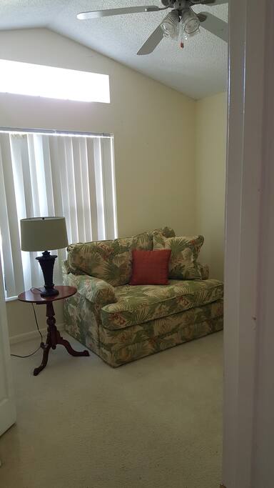 Twin Sleeper Sofa in Private Den