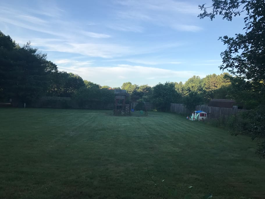 Backyard