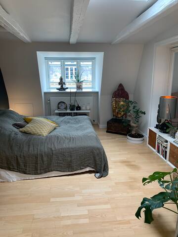 Penthouse, baghus på Kgs Nytorv med privat altan. gallery image 5