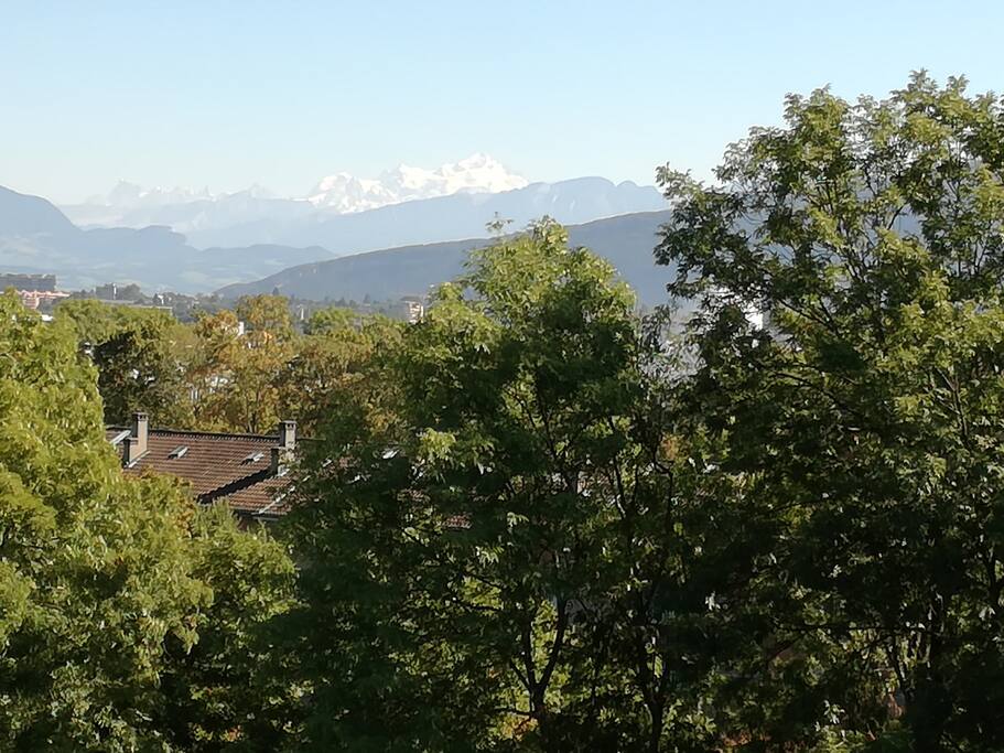 Grand balcon (15m2) - Plein sud - avec une vue sur le Mont-Blanc et un parc de 60'000m2