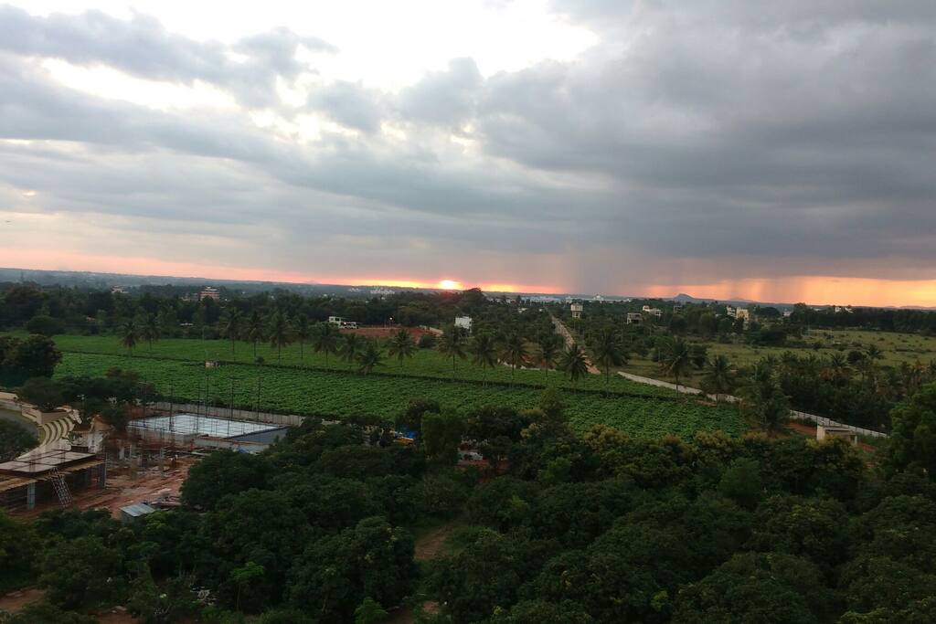 View From Balcony