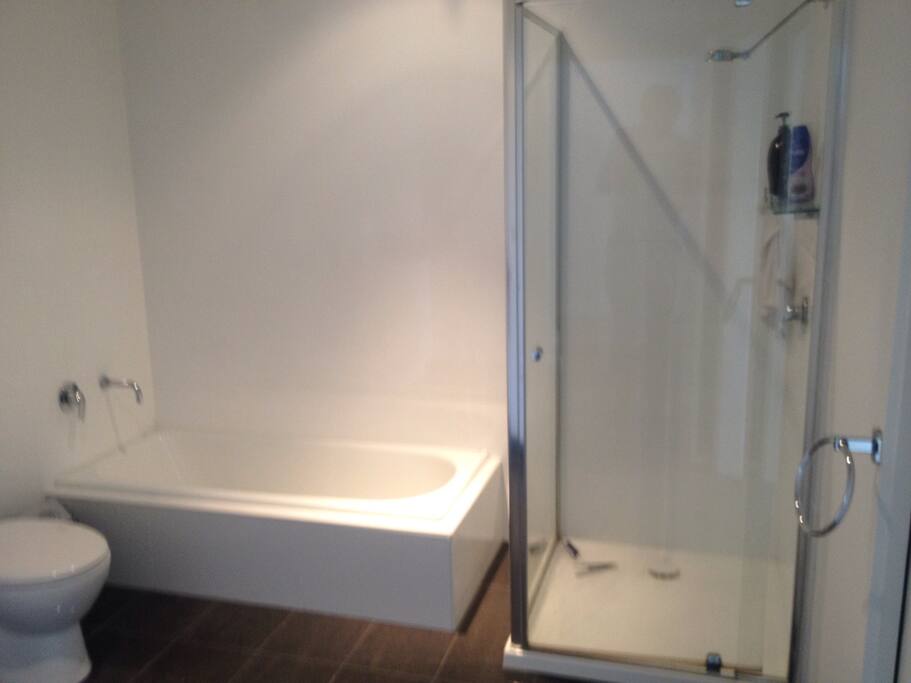 Modern bathroom one of two toilets