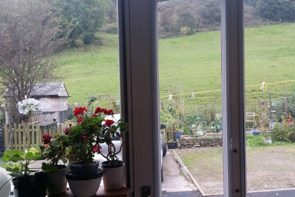 kitchen view 1