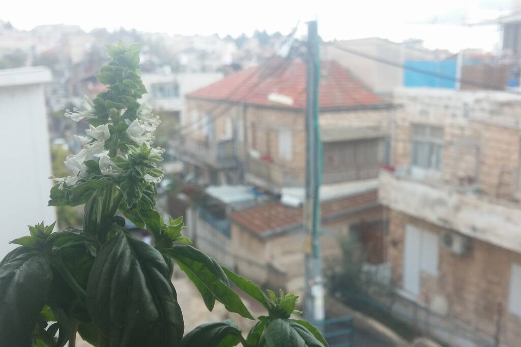 balcony view