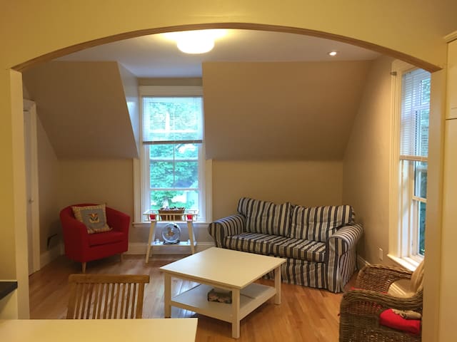 Historic home centrally located (upstairs)
