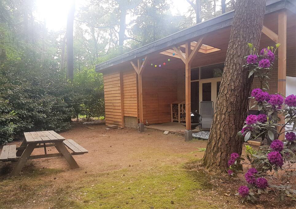 Ruime tuin